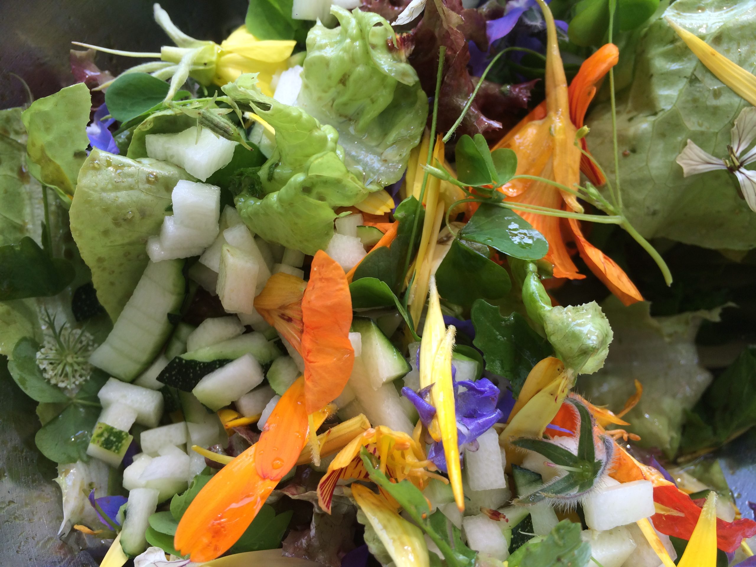 Blütensalat - Fotografie: Katharina Hansen- Blütensalat - Fotografie: Katharina Hansen-Gluschitz