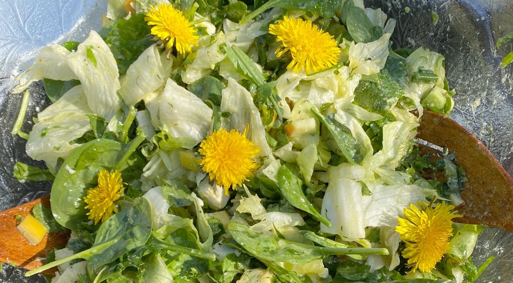 Grüner Frühlingssalat 1 Grüner Frühlingssalat